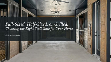 Full-Sized, Half-Sized, or Grilled: Choosing the Right Stall Gate for Your Horse