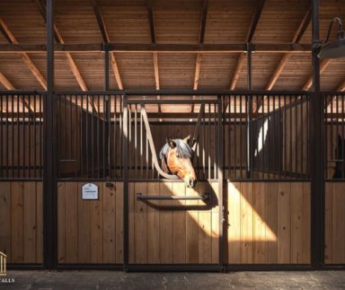 Luxury Horse Stall Fronts