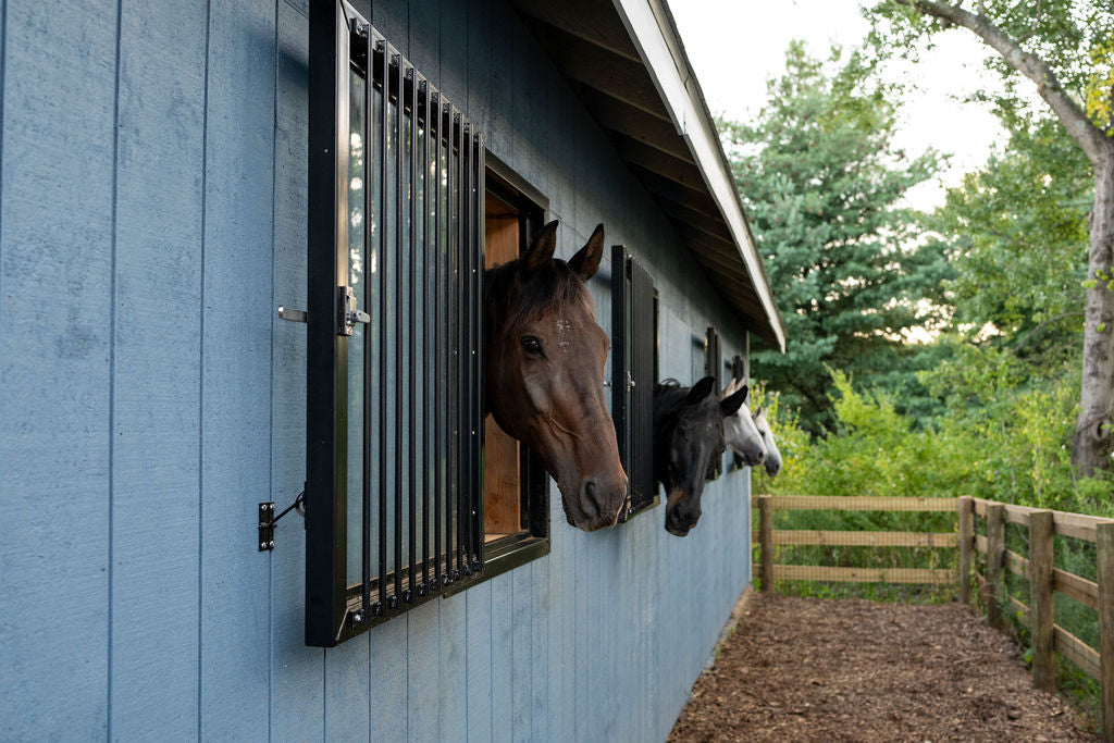 Horses look out from stable windows, with a wooden fence and trees in the background. Glass in-fill windows with grill guards are securely mounted on the barn wall to provide added safety when opened.