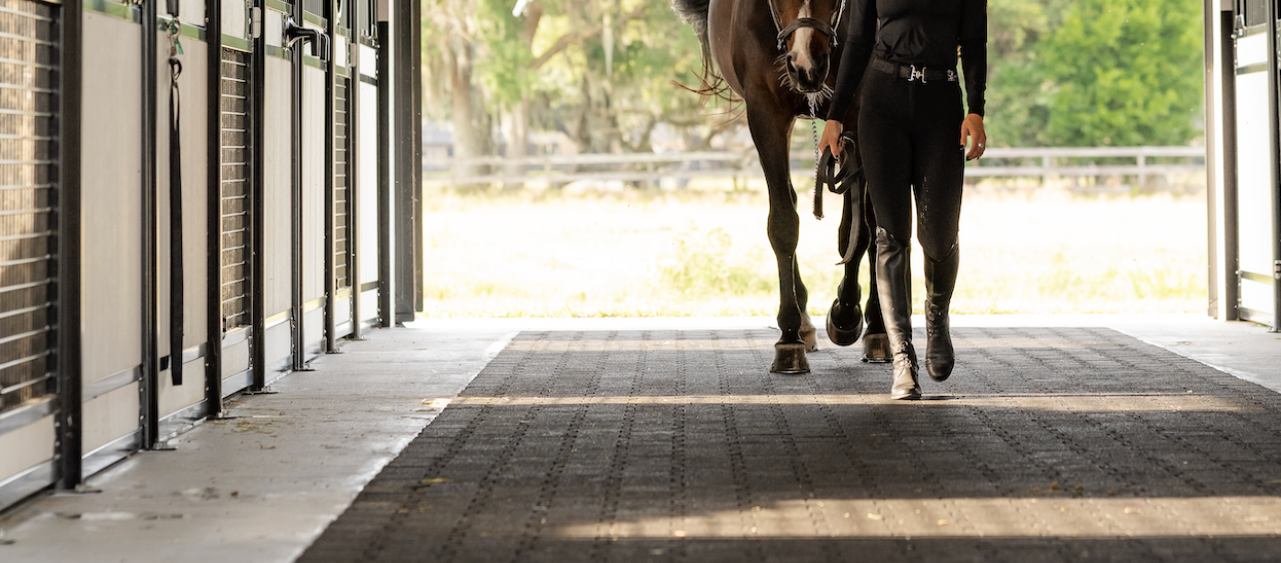 Rubber Pavers for Horse Barns