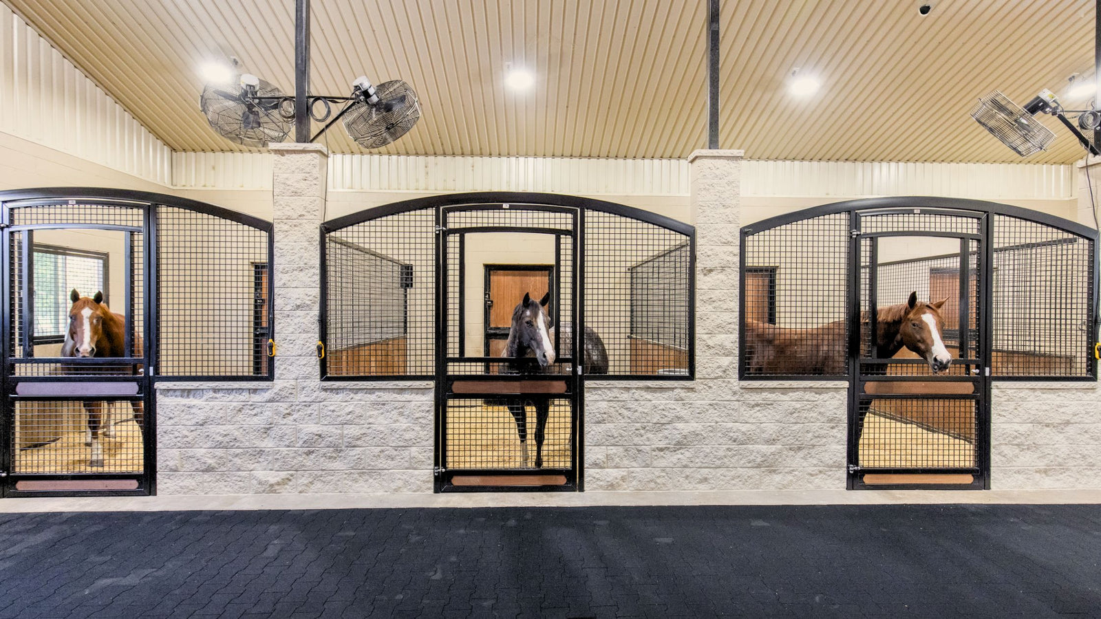 Horses in indoor stables with gated enclosures. Custom made Arched "High" Euro Hinge Horse Stalls with rectangular Yoke Opening. and bottom shavings guard. Jackson Ranch, TX 