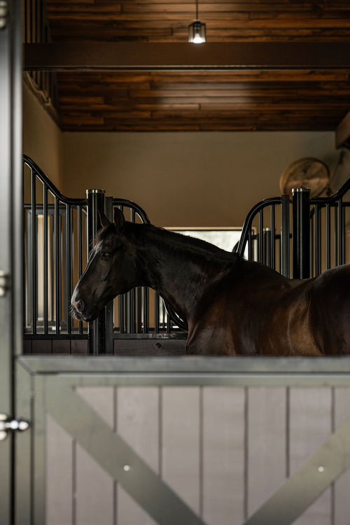 Dutch Doors