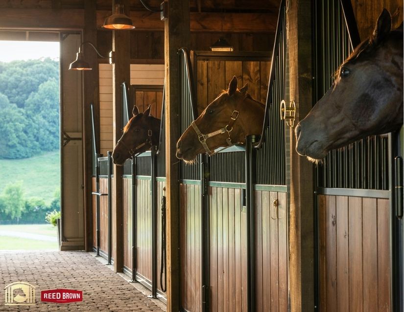 Stall Inages Product Gallery | American Stalls