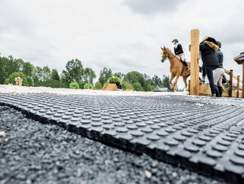 Equine Flooring