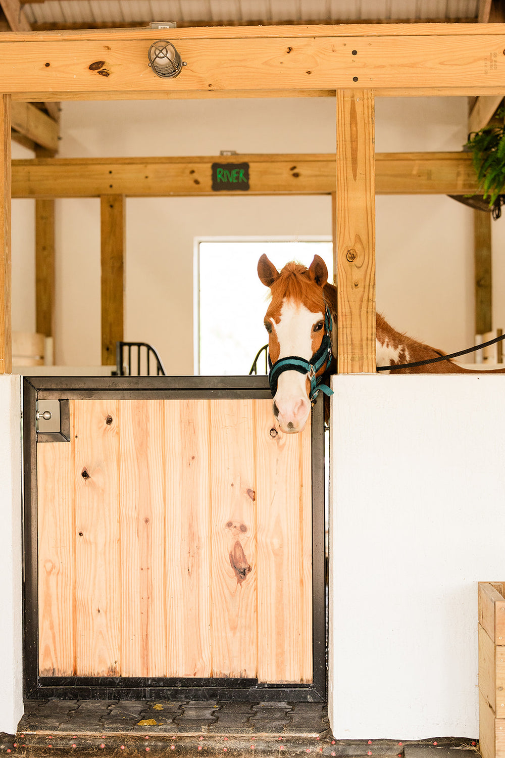Horse Stall Doors