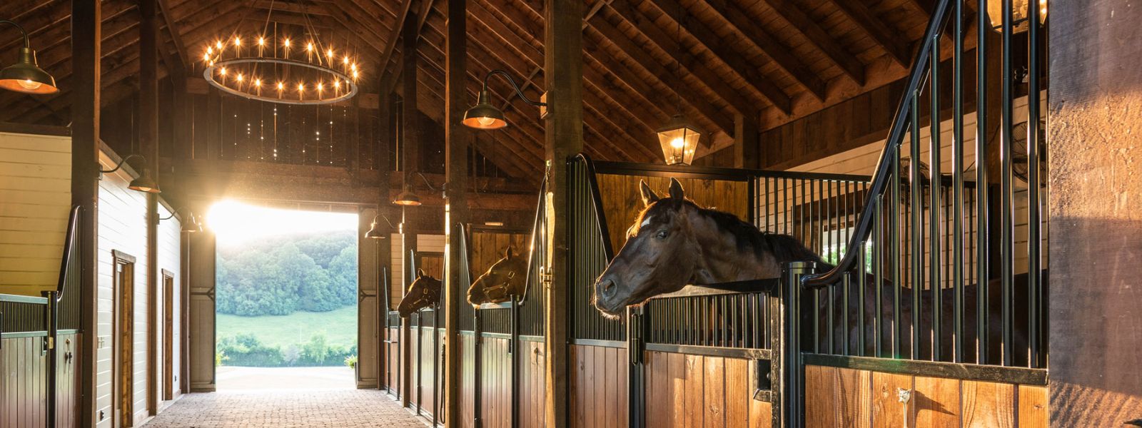 inside horse barns