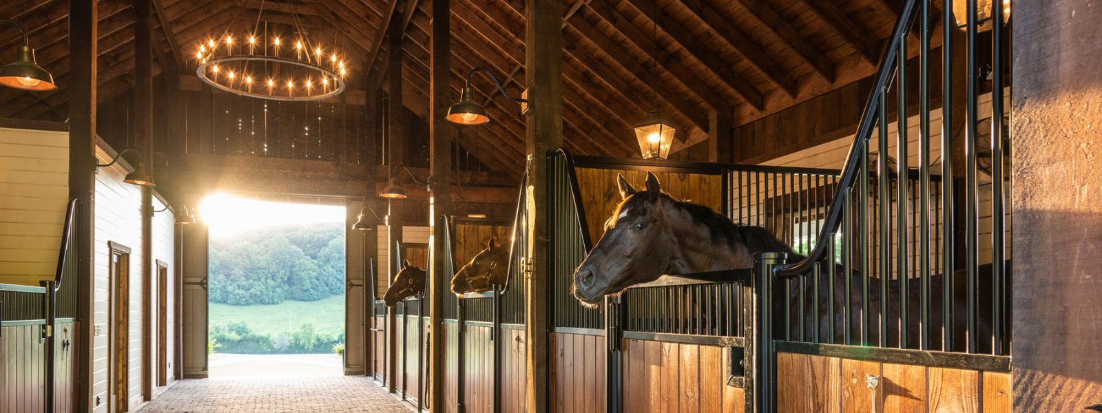 Inside Fancy Horse Barns