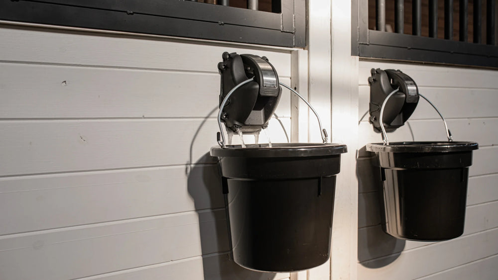 Watering Solutions for Horse Stalls