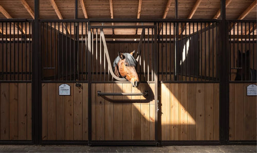 Sliding Door Horse Stalls