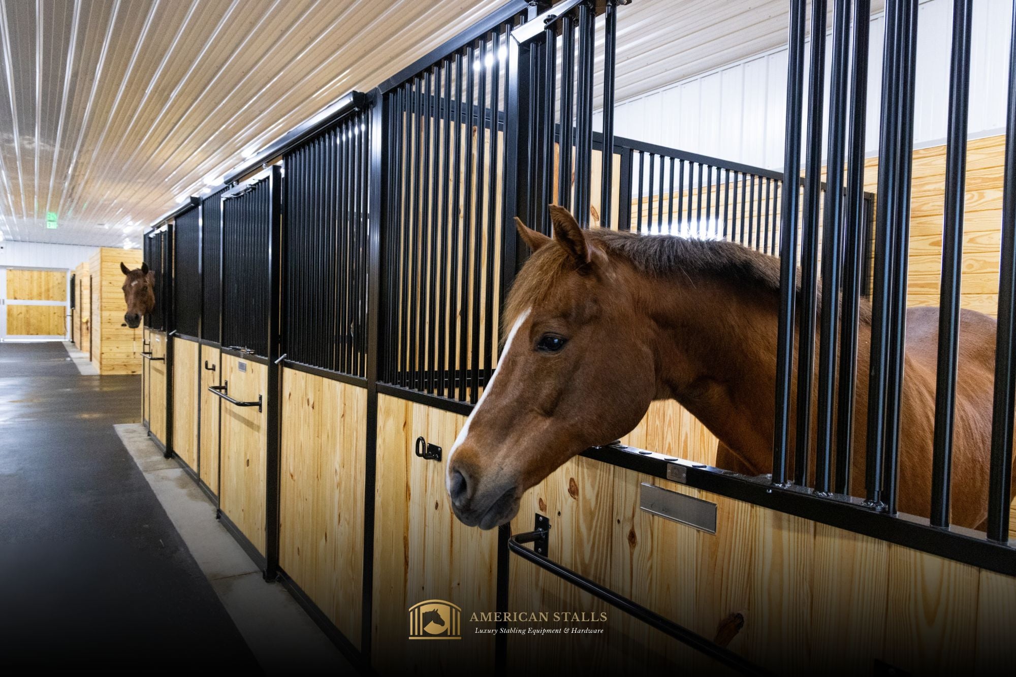 American Stalls: Premium Sliding Stall Fronts