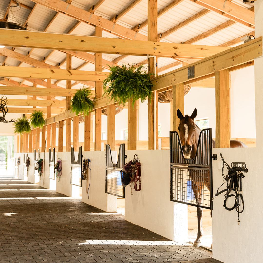 Half Sized Stall Gate