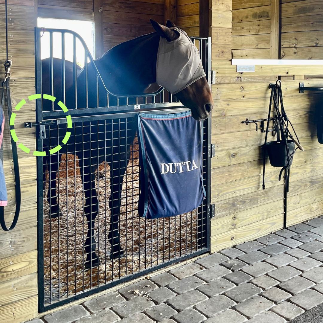 Horse Stall Latch: Ultimate Guide to Secure and Durable Designs