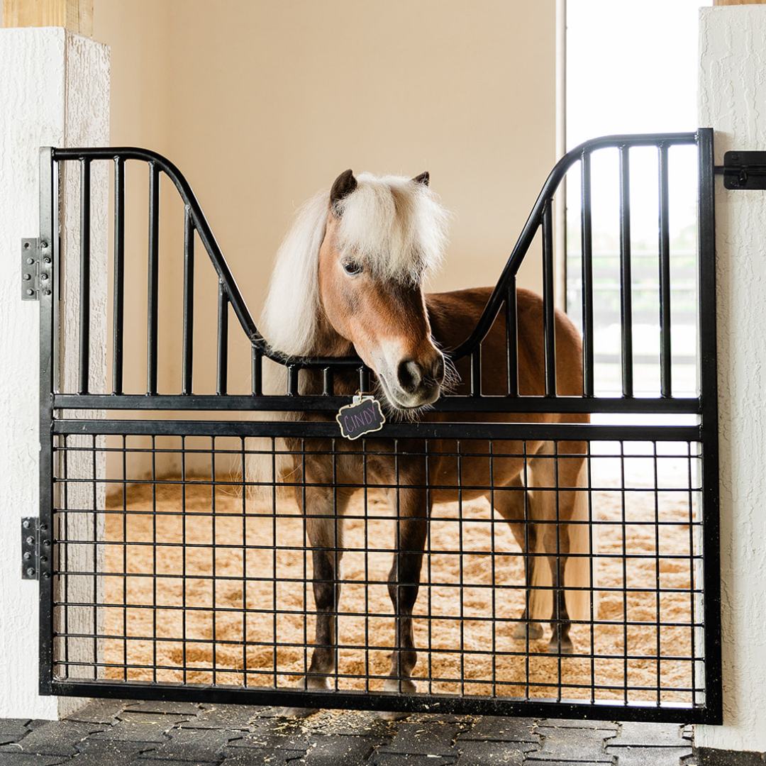 Half Sized Stall Gate