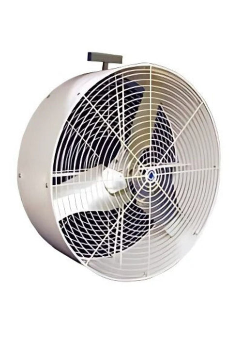 36