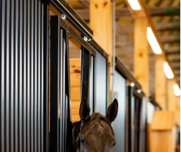Trackble Stall Design Studio - Custom Stall Fronts | American Stalls