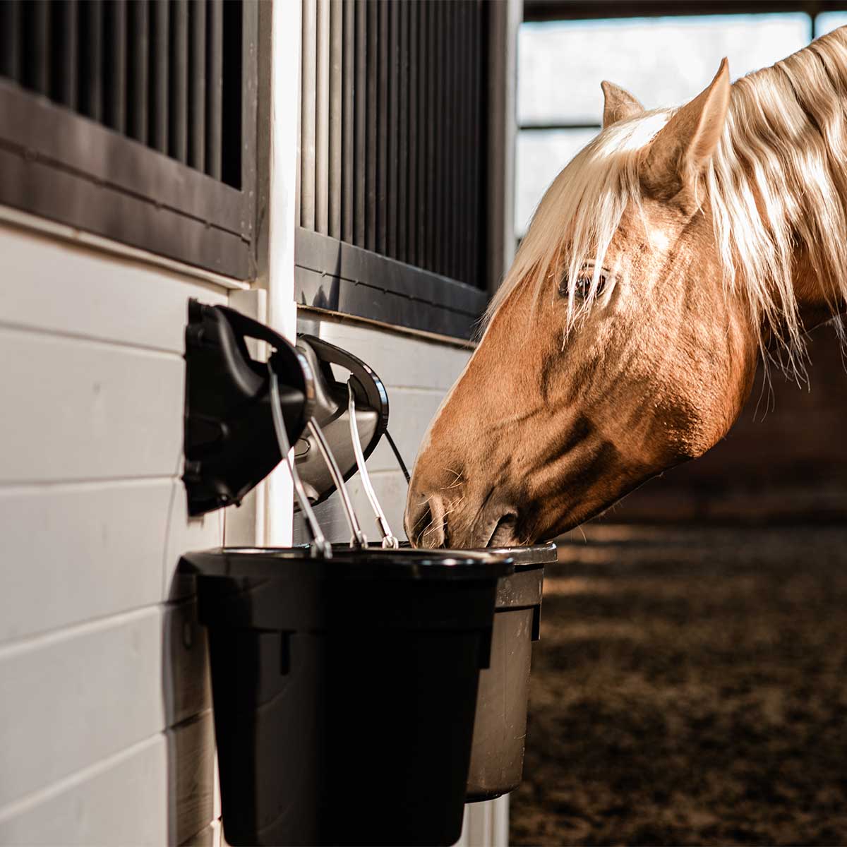 The Cascada Automatic Waterer