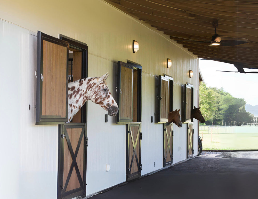 Dutch Doors for Horse Barns