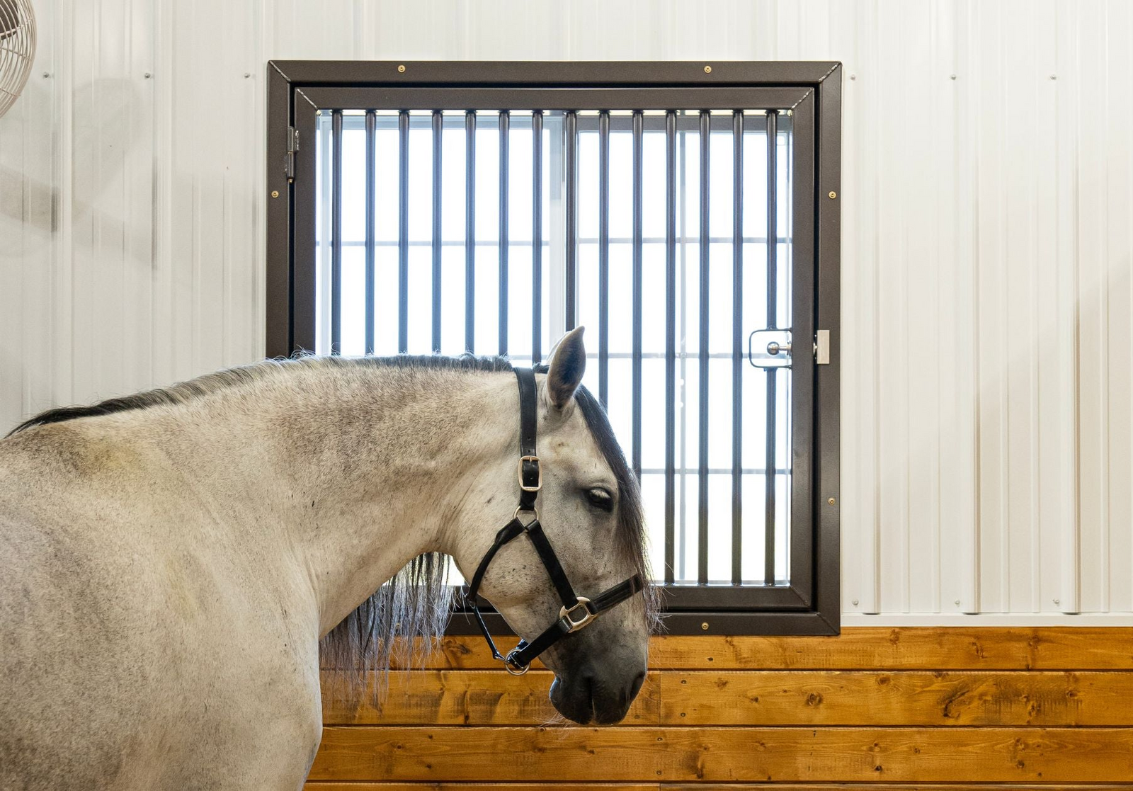 Horse in a stable standing by the Window. Custom design Glass In-Fill Window with added protective Grill Guard for safety reason. 