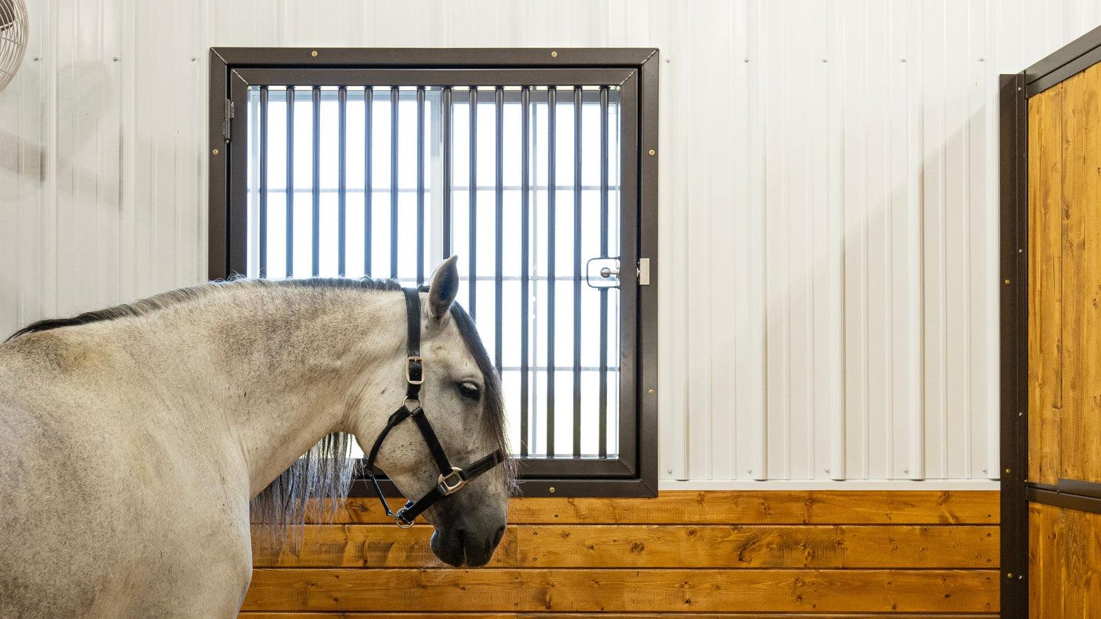 Horse inside a stable with lumber-filled partition and white walls. Window has Hinge Grill Guard and Plunger Latch for added safety. 