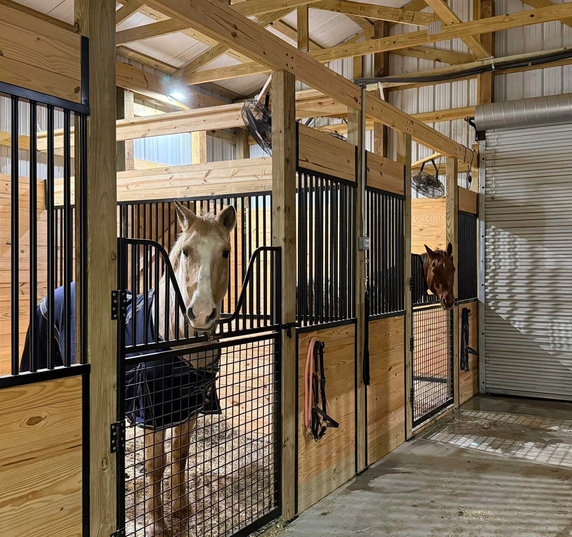 Full-Sized Horse Stall Gate