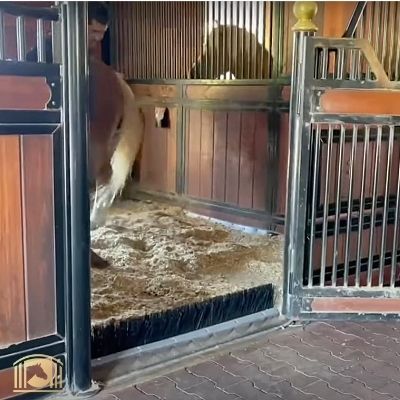 Stall Block Bedding Blocker System for Horse Stalls | American Stalls
