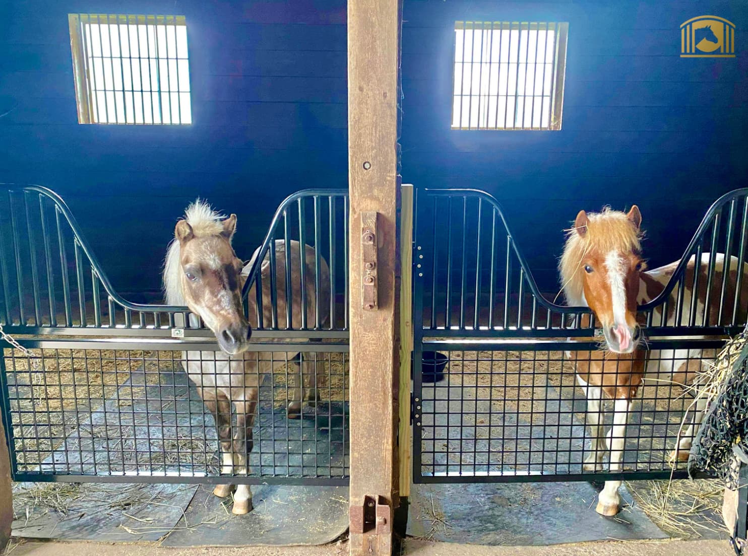 Half Sized Stall Gate