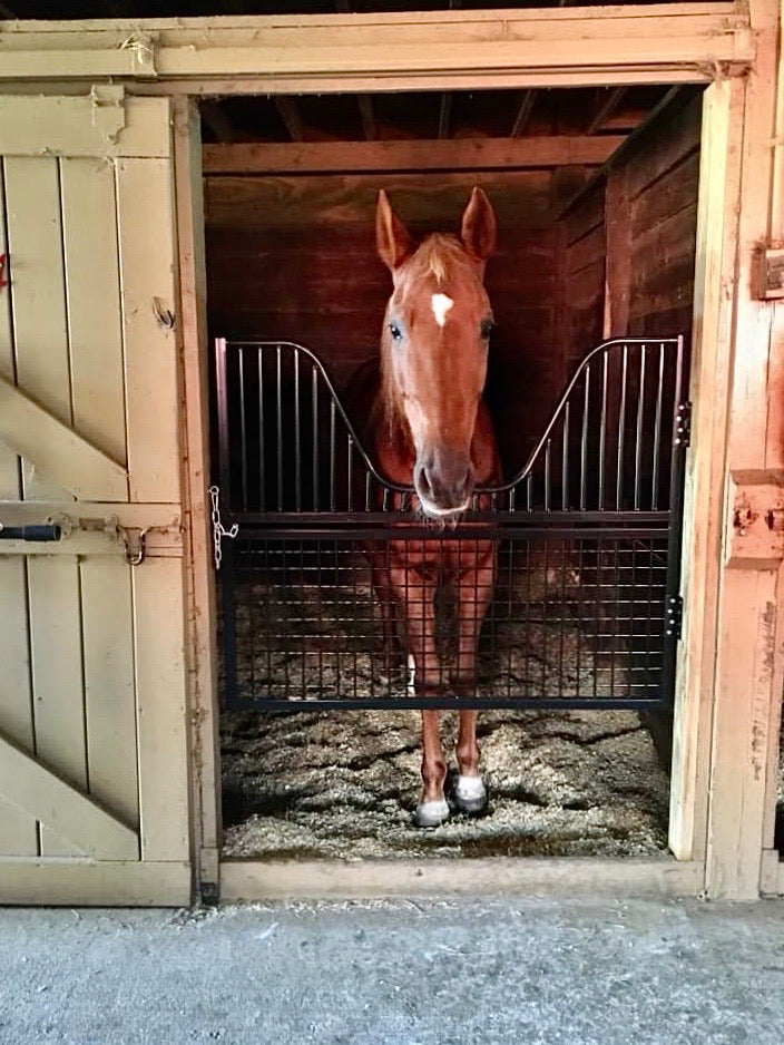 Half Sized Stall Gate