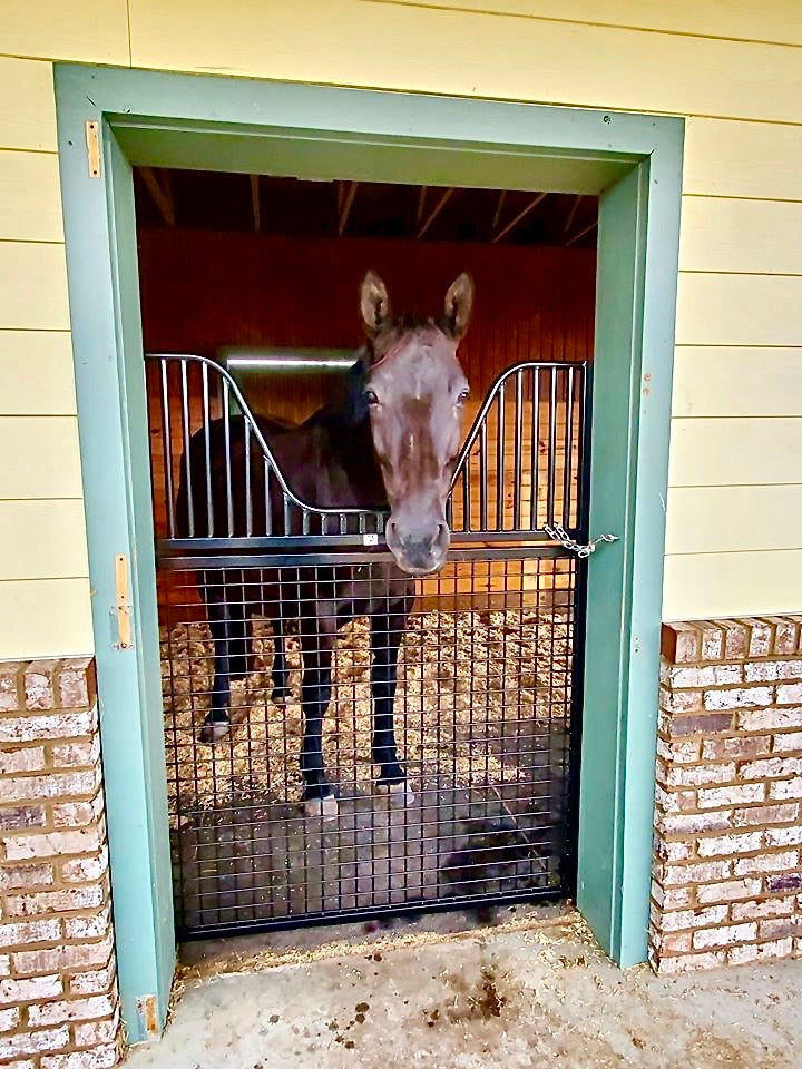 Full Sized Horse Stall Gate