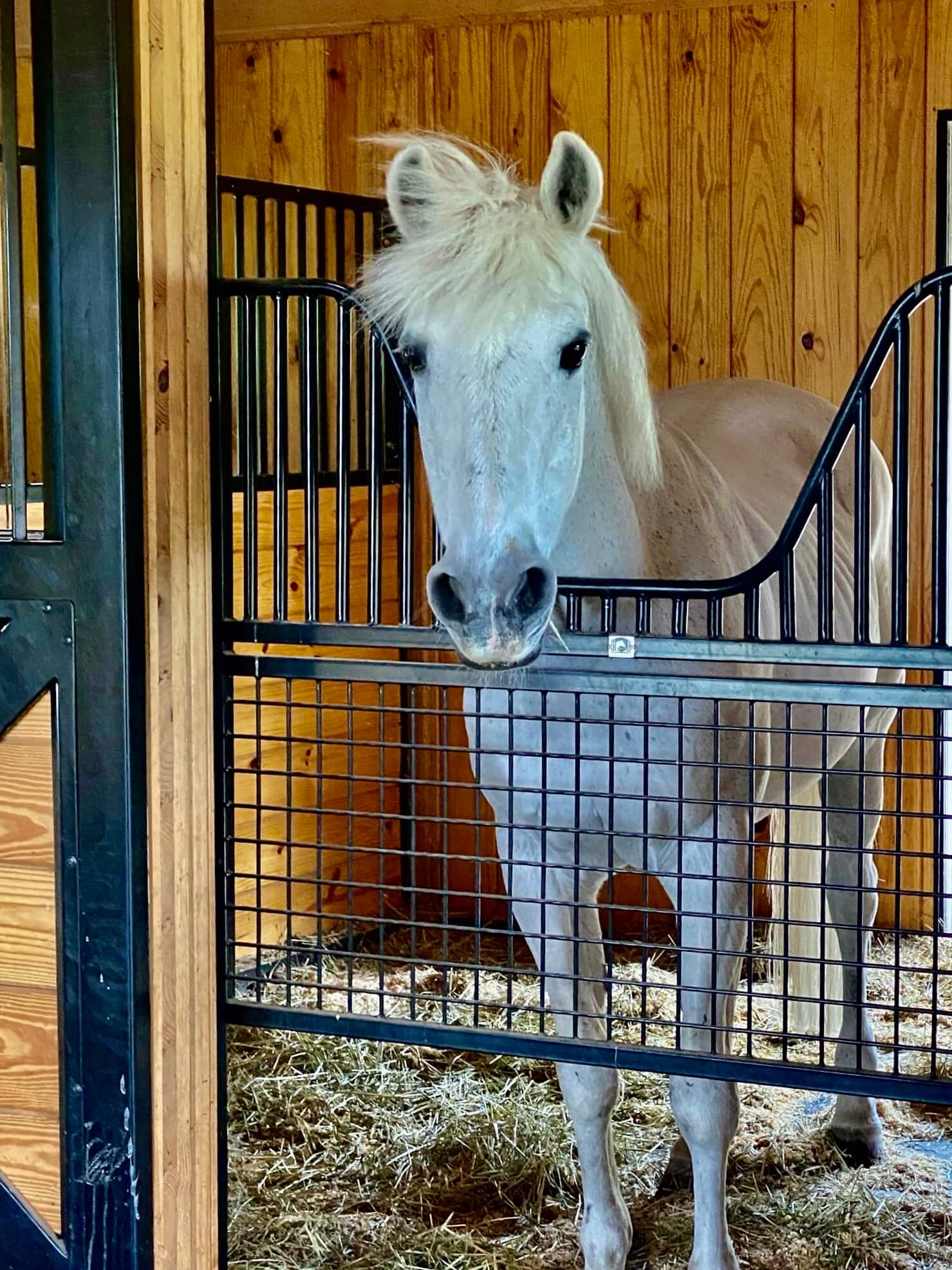 Half Sized Stall Gate