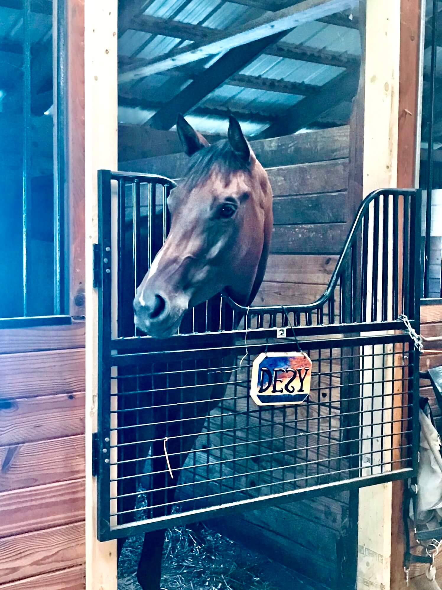 Half Sized Stall Gate