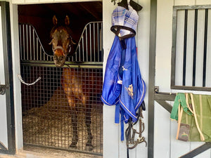 Full Sized Horse Stall Gate