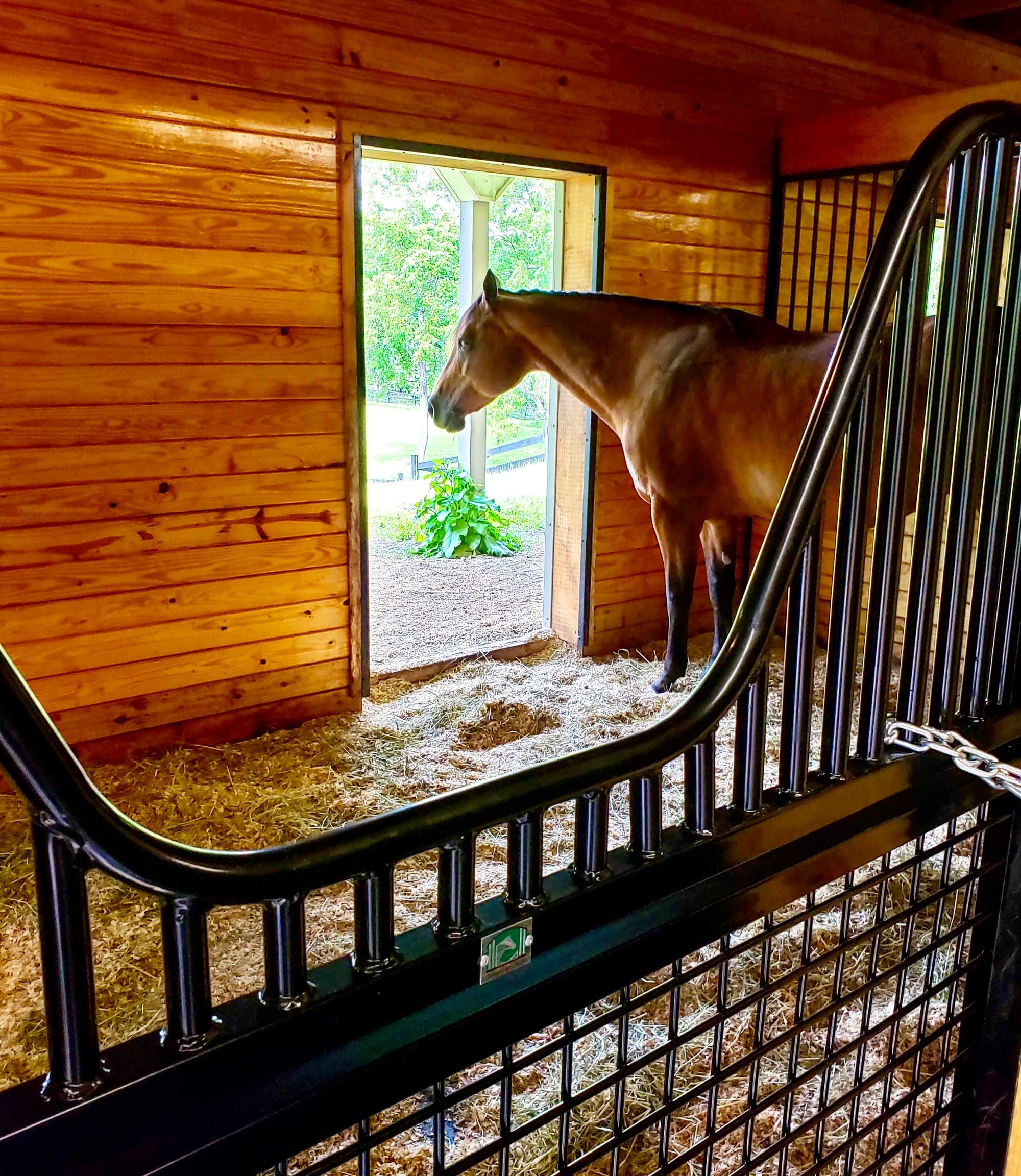 Half Sized Stall Gate