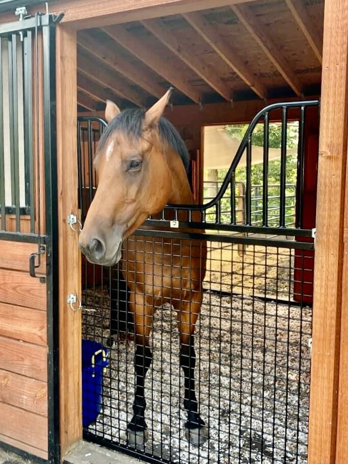 Full Sized Horse Stall Gate