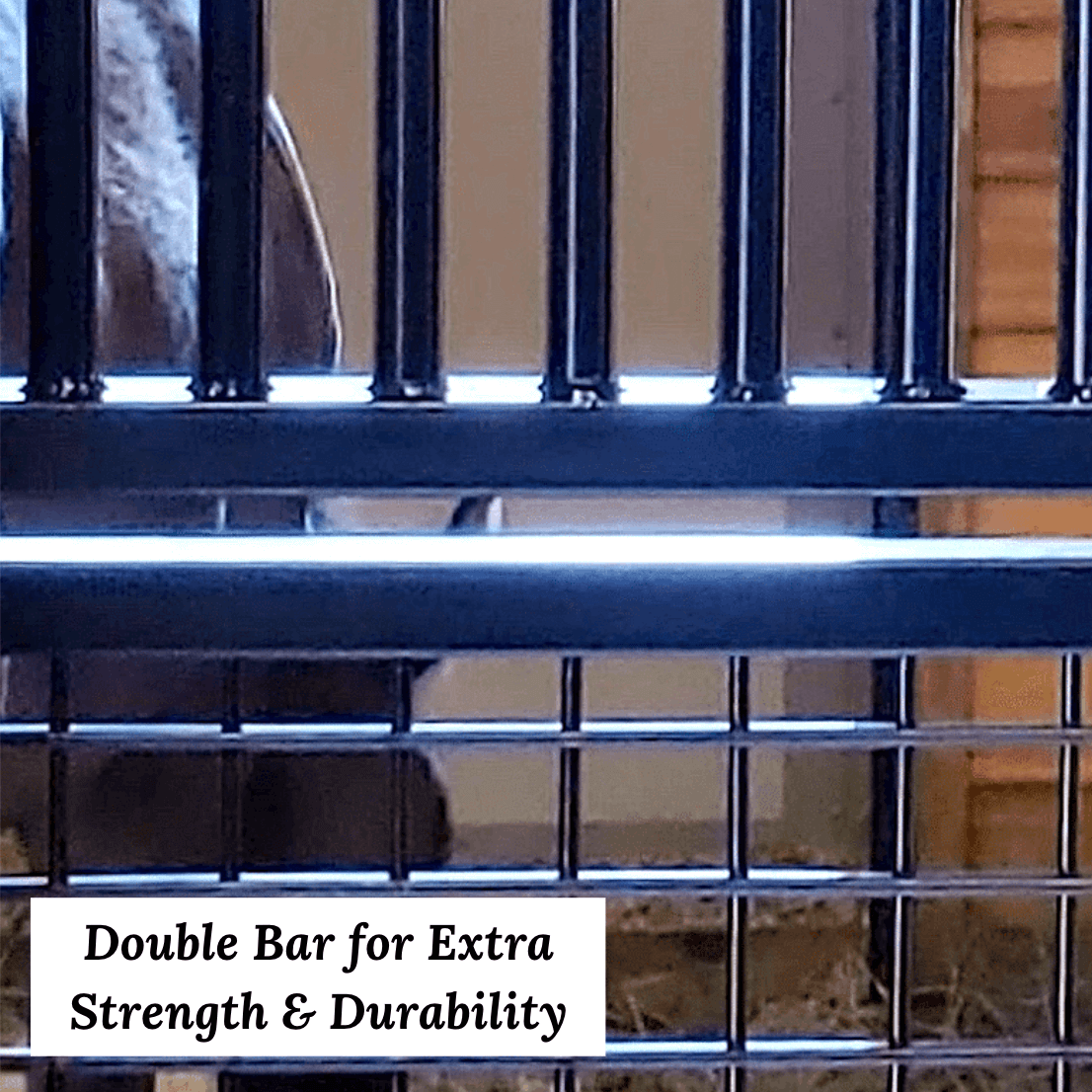 double bar on horse stall gates