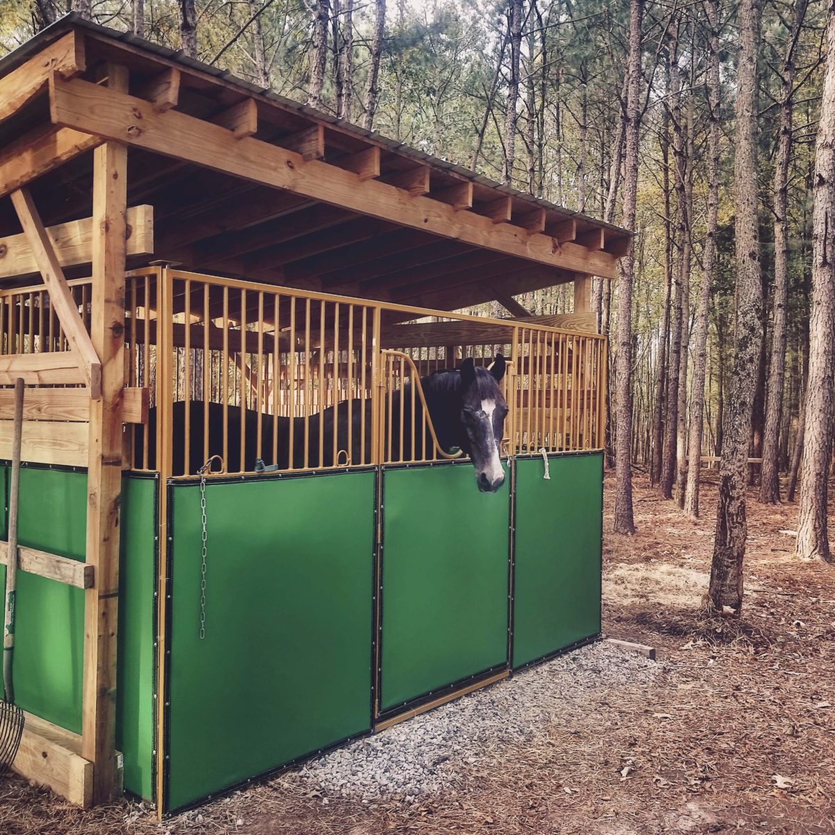 portable horse stalls in bronze powder coat