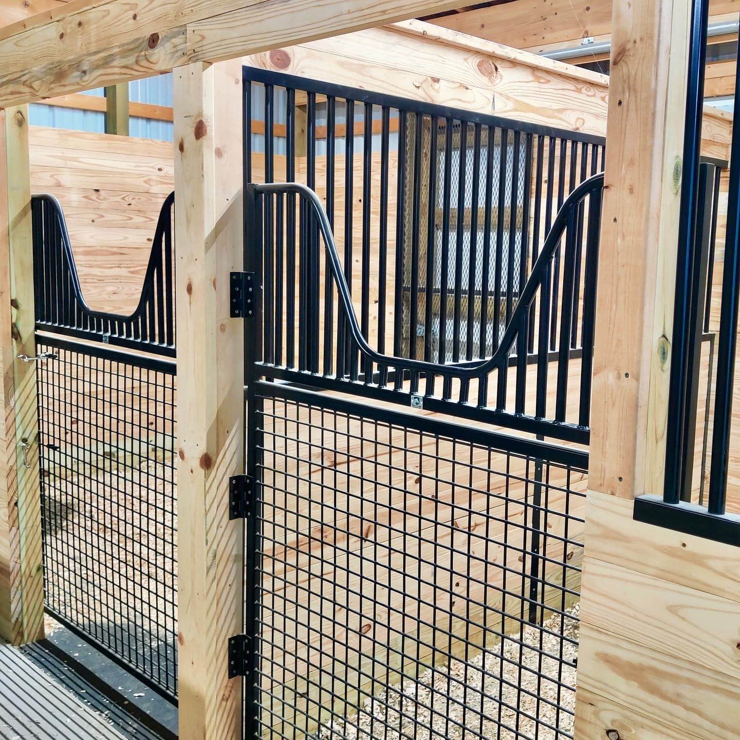 full sized stall gates in horse barn