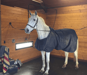 horse rubber mats for wash bays