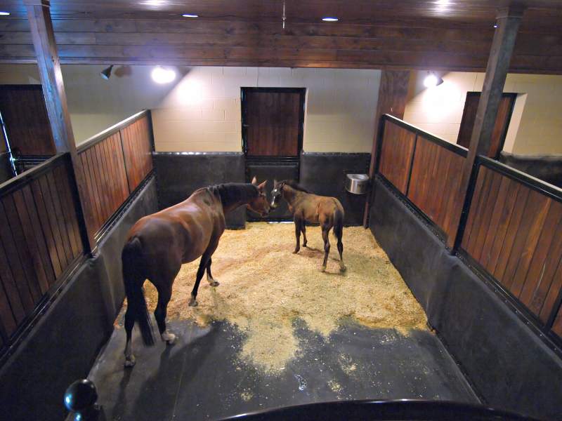 StableComfort Horse Stall Mattress