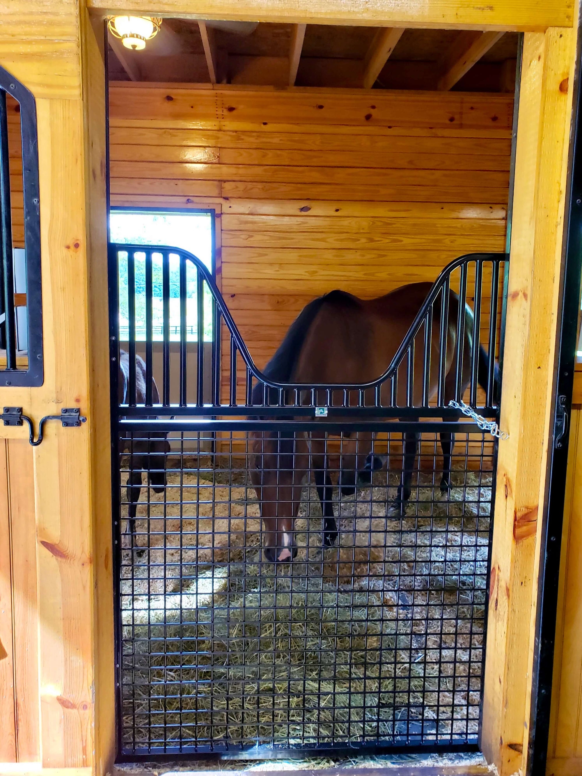 full sized metal stall gates