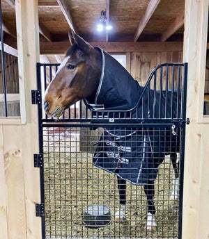 safe stall gate in horse barn